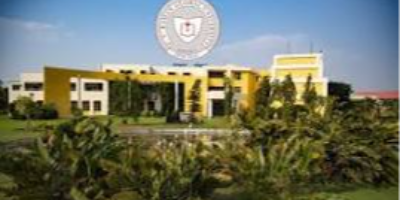 Institute