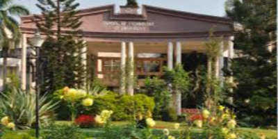 Institute