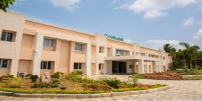 Institute