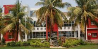 Institute