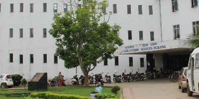 Institute