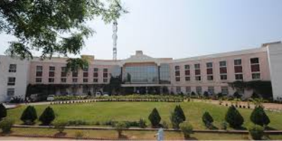 Institute